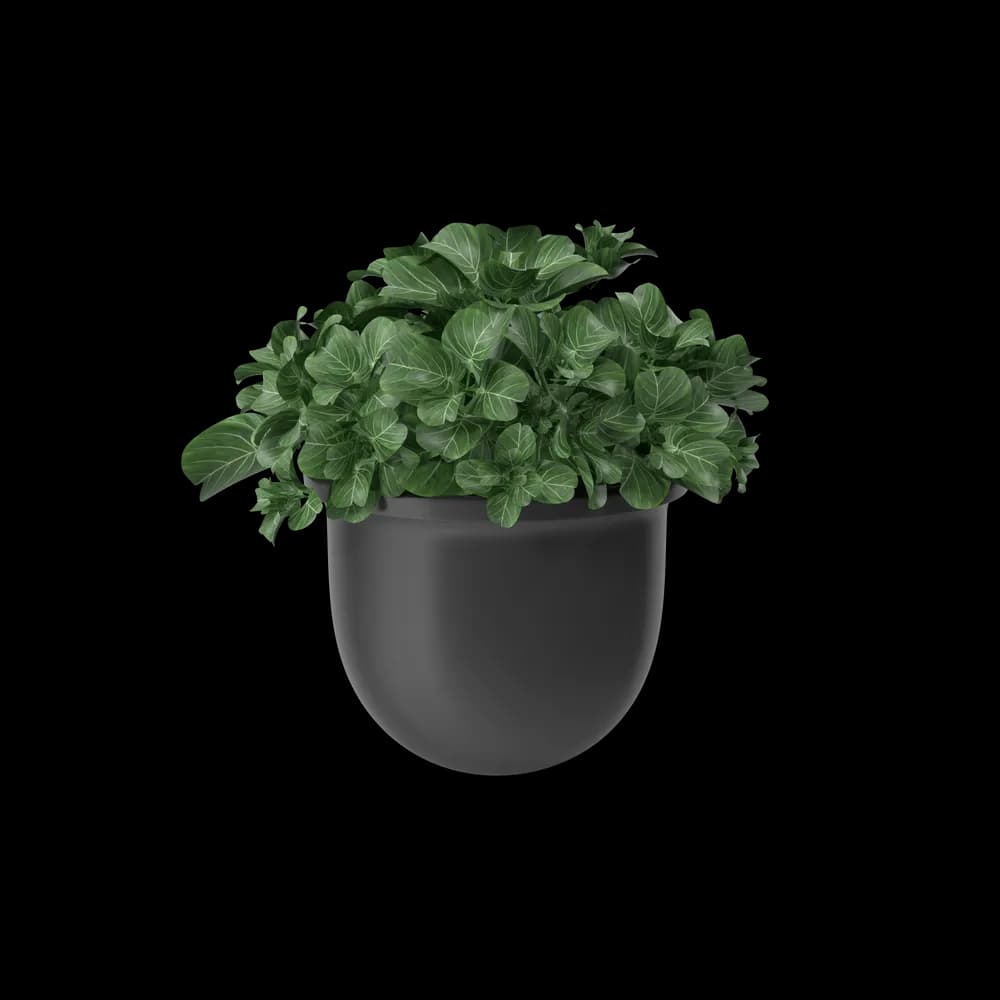 Vaso de Cerâmica para Plantas